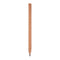 Pencil - Ruler-Matakana Pharmacy
